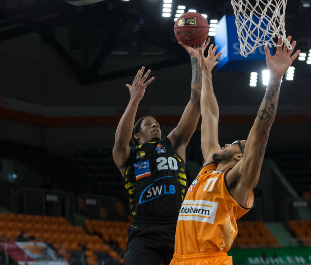 滑雪项目迎 滑雪项目迎