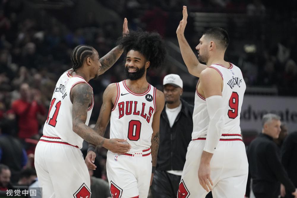 12个长尾 12个长尾